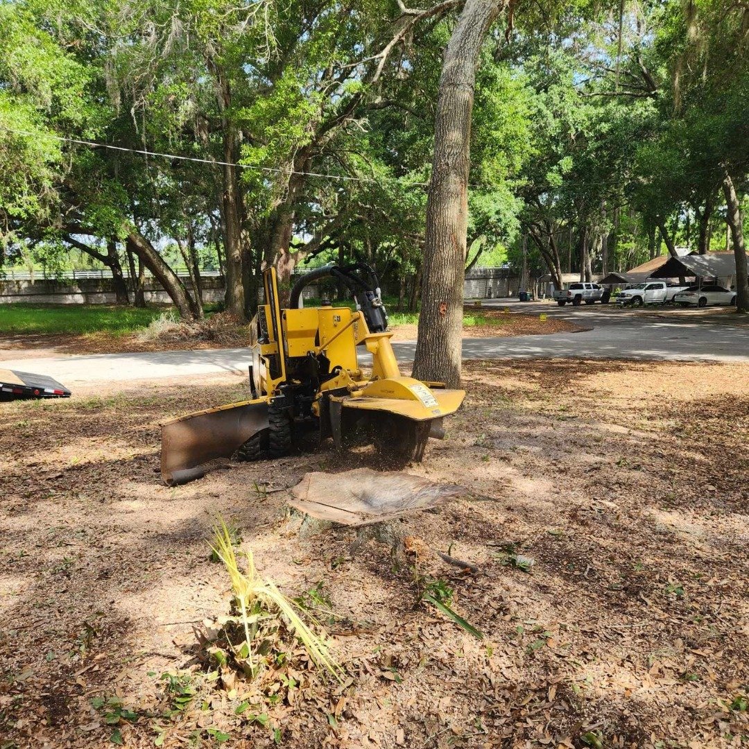All Out Stump Grinding - Why Choose Us